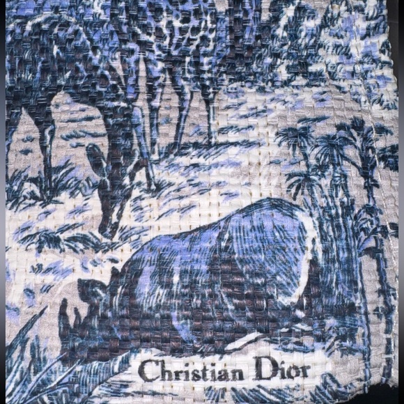 NEW Dior Around The World Lt’d Ed Large Straw Tote with Removable Hard Bottom - Picture 5 of 9